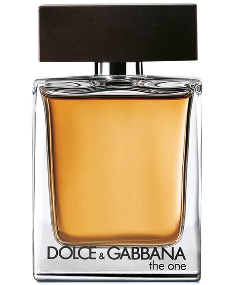 dolce gabbana the one eau de toilette herren|Dolce & Gabbana the one 100ml.